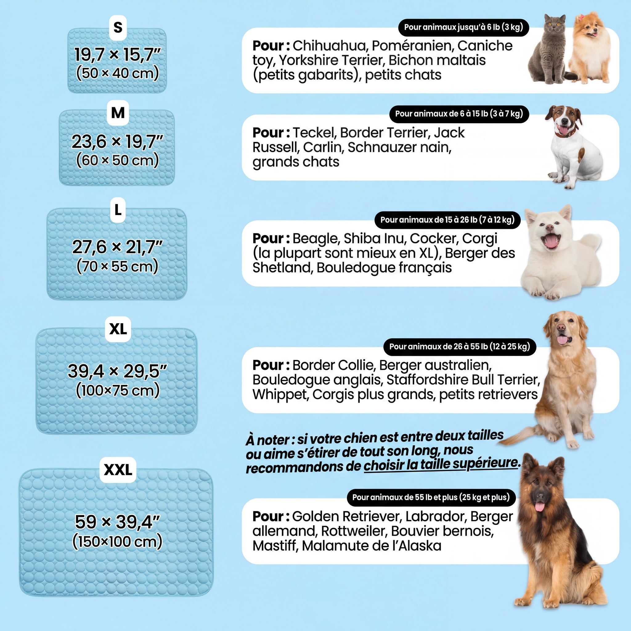 Frizon™ - Tapis rafraîchissant pour chien