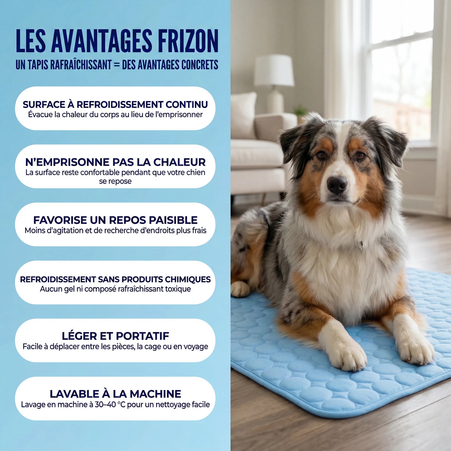 Frizon™ - Tapis rafraîchissant pour chien