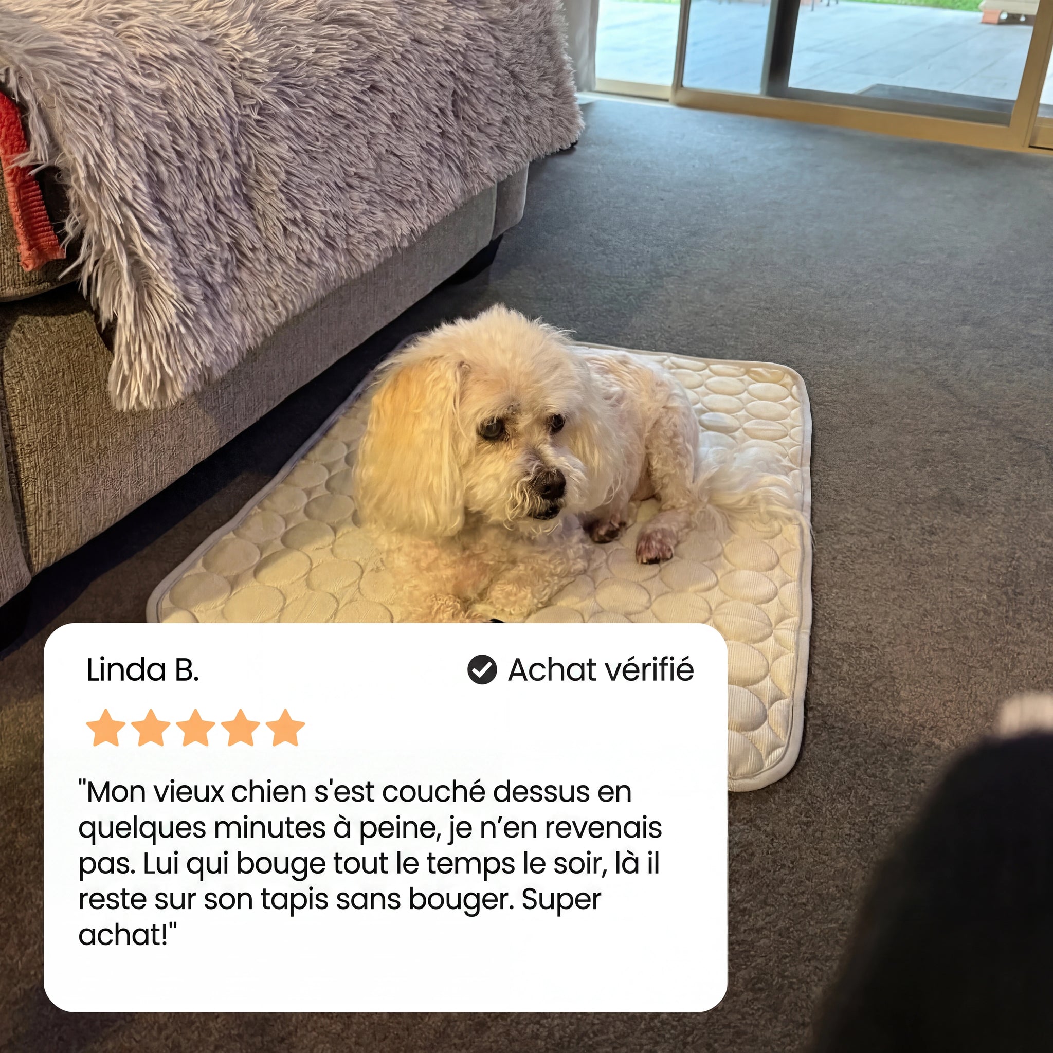 Frizon™ - Tapis rafraîchissant pour chien
