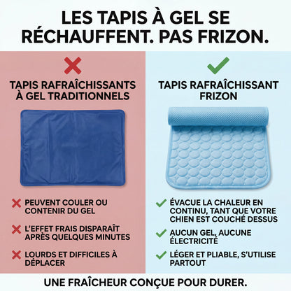 Frizon™ - Tapis rafraîchissant pour chien