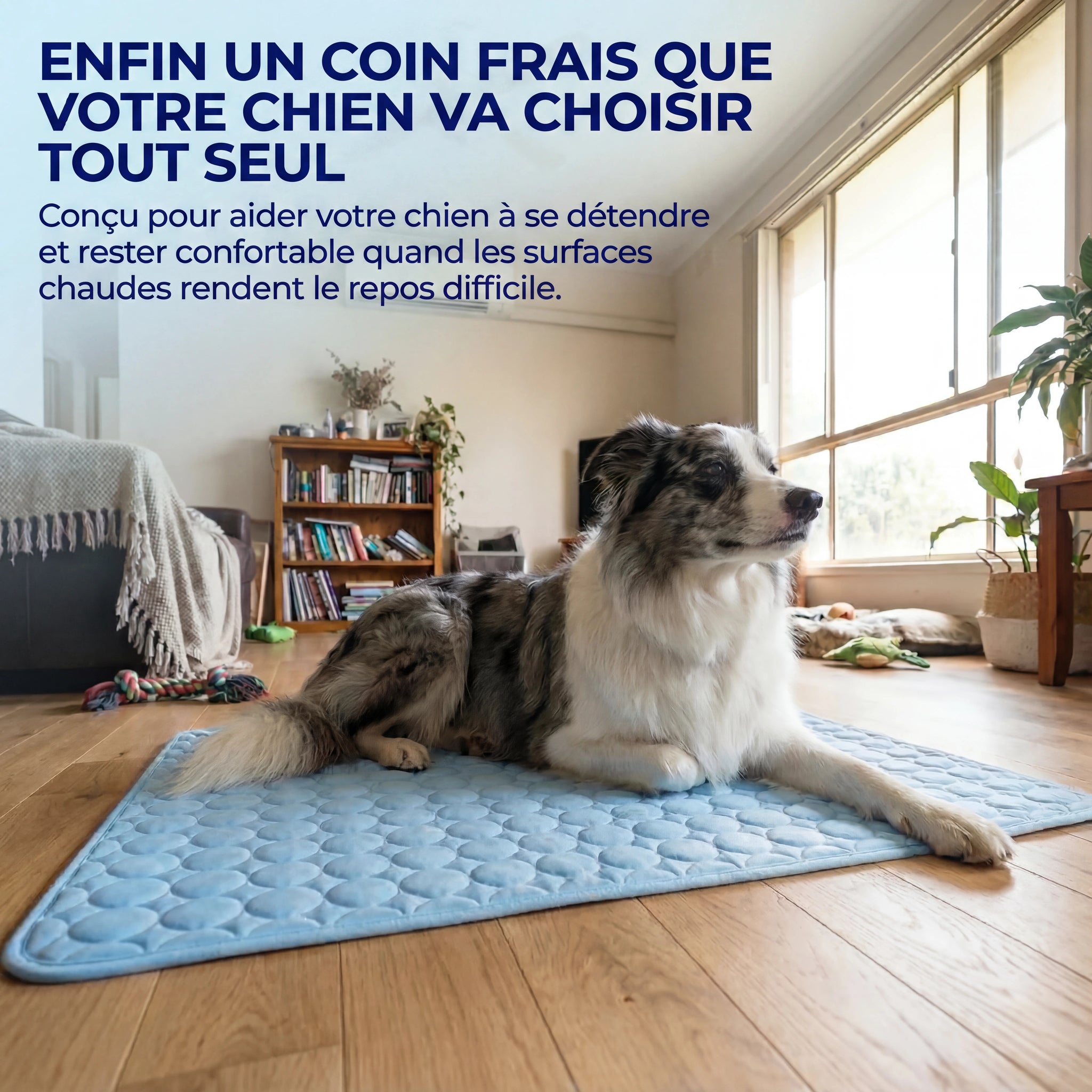 Frizon™ - Tapis rafraîchissant pour chien