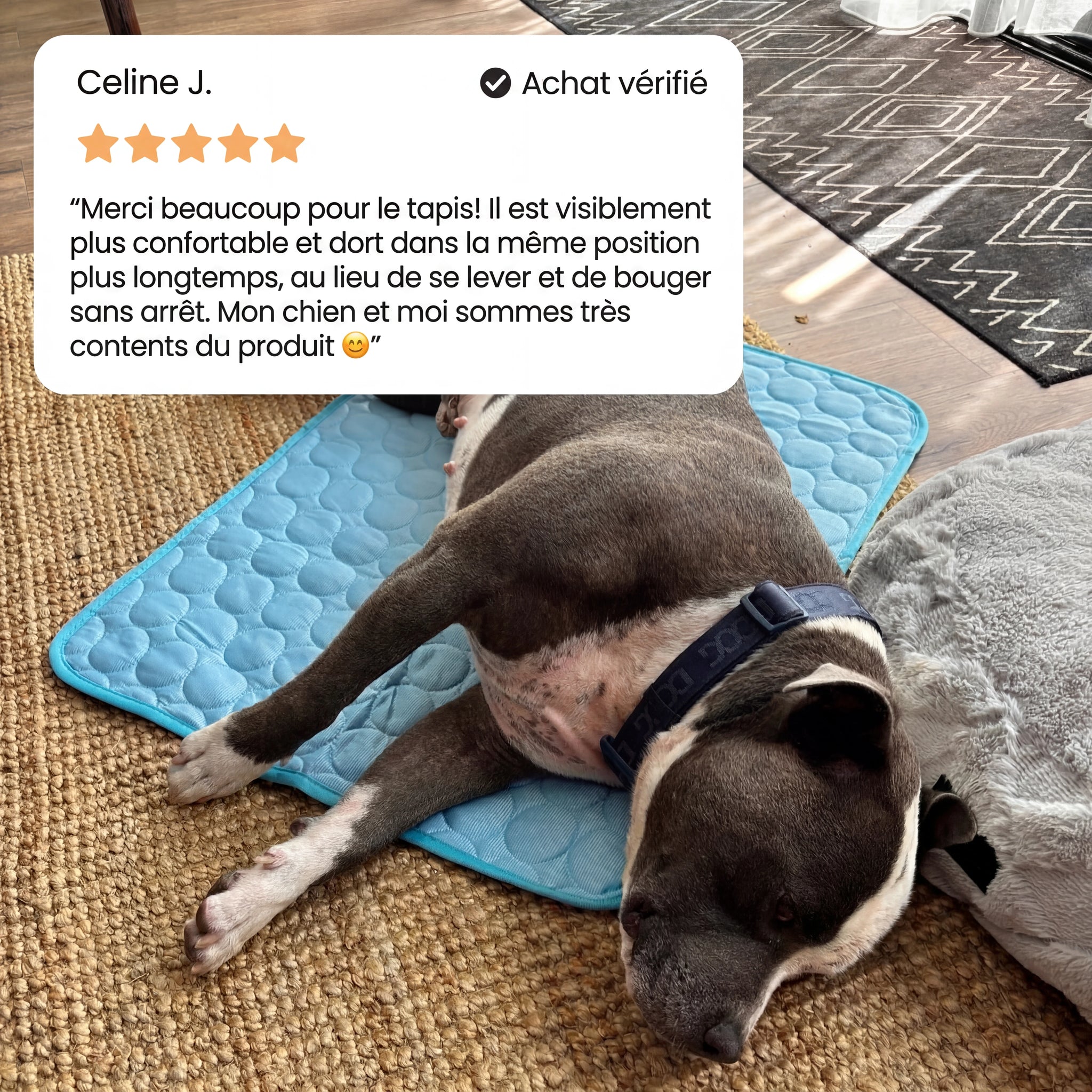 Frizon™ - Tapis rafraîchissant pour chien