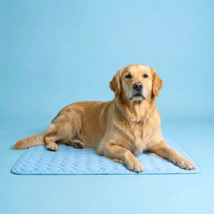 Frizon™ - Tapis rafraîchissant pour chien