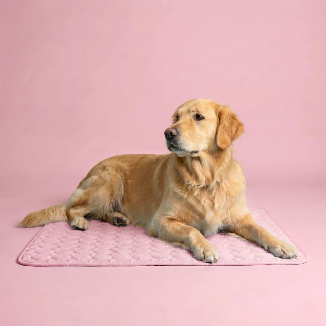Frizon™ - Tapis rafraîchissant pour chien