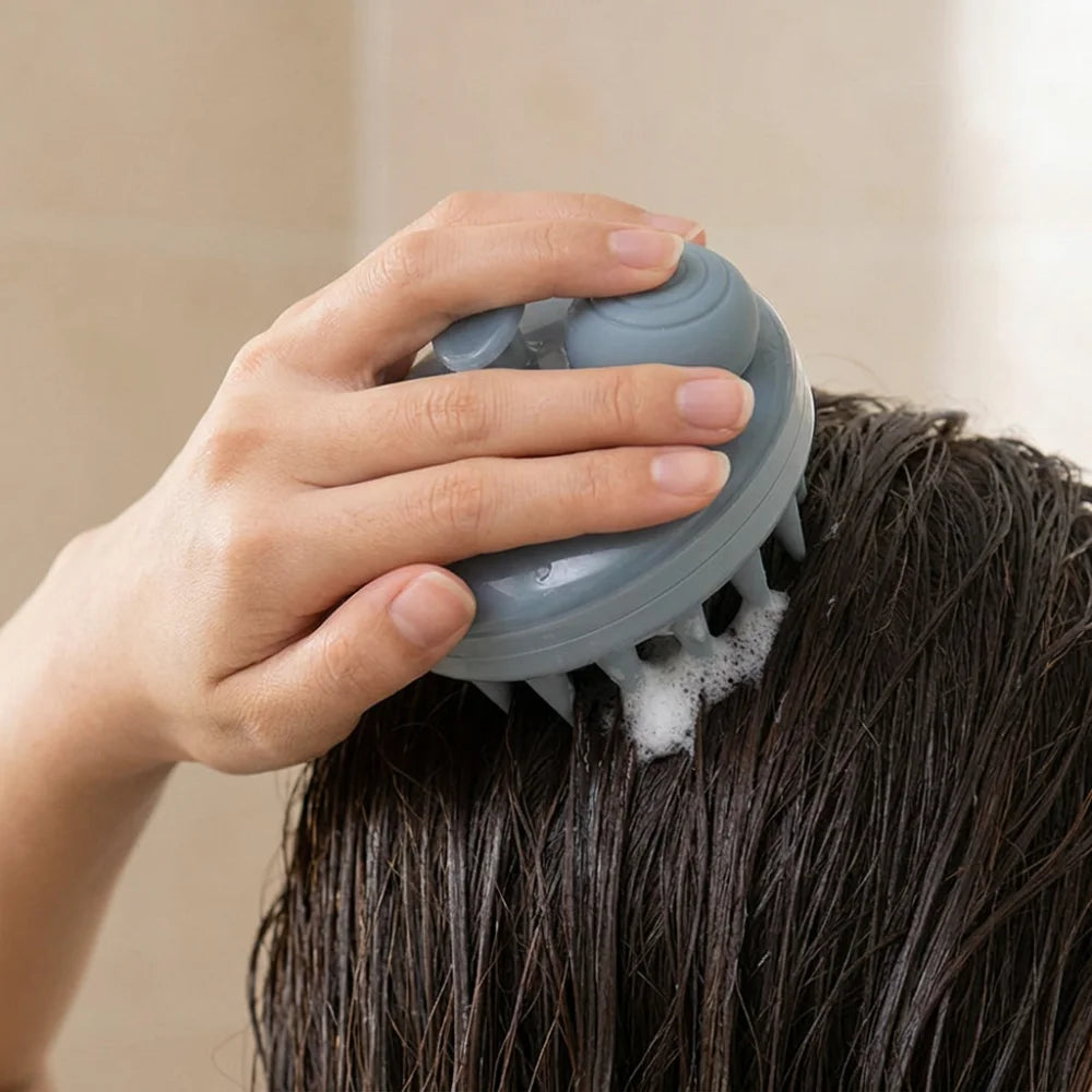 brosse_fiche_diffusion