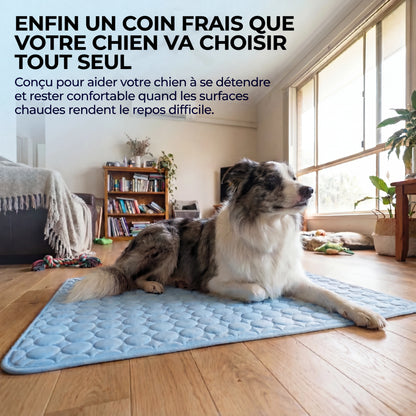 Frizon™ - Tapis rafraîchissant pour chien