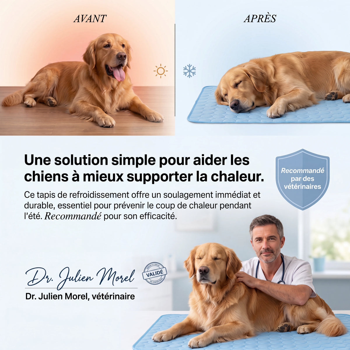 Frizon™ - Tapis rafraîchissant pour chien