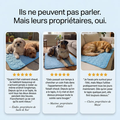 Frizon™ - Tapis rafraîchissant pour chien