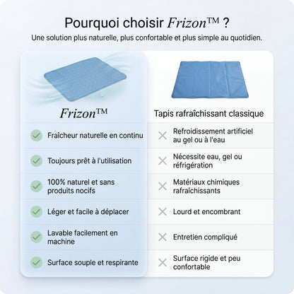 Frizon™ - Tapis rafraîchissant pour chien