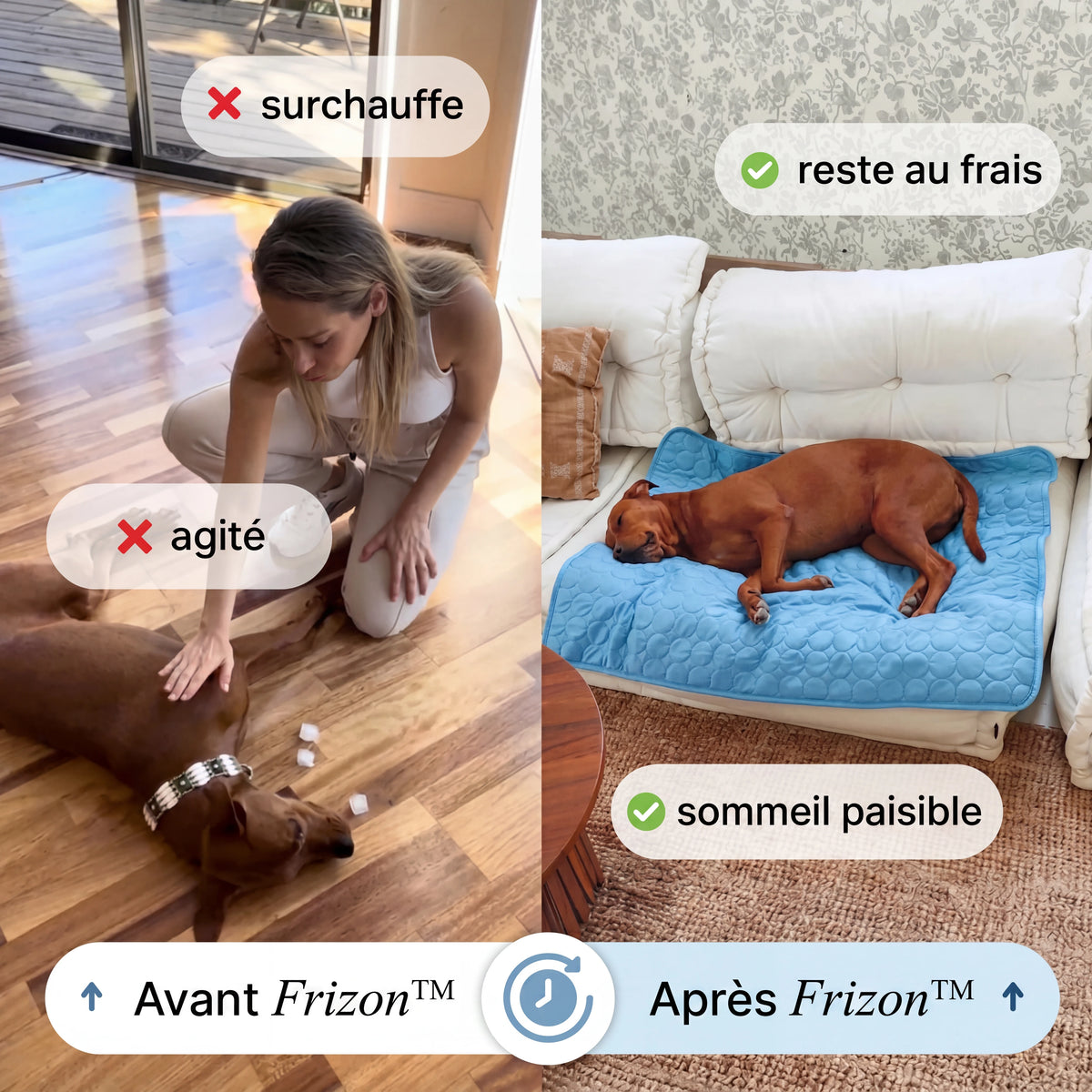 Frizon™ - Tapis rafraîchissant pour chien