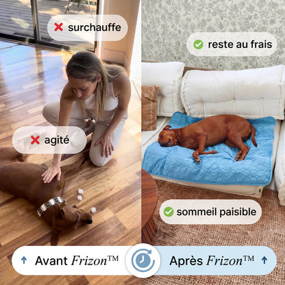 Frizon™ - Tapis rafraîchissant pour chien