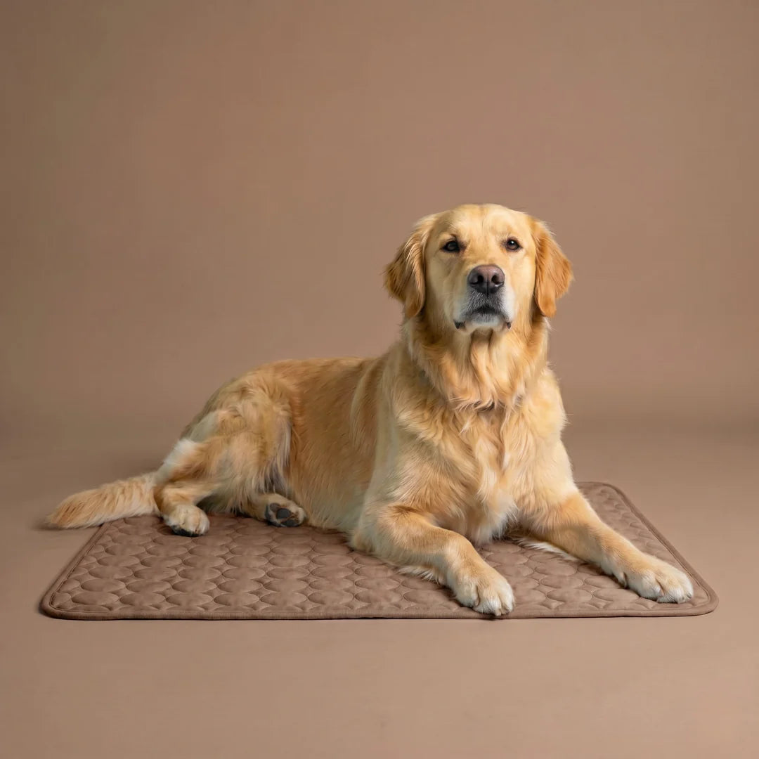 Frizon™ - Tapis rafraîchissant pour chien