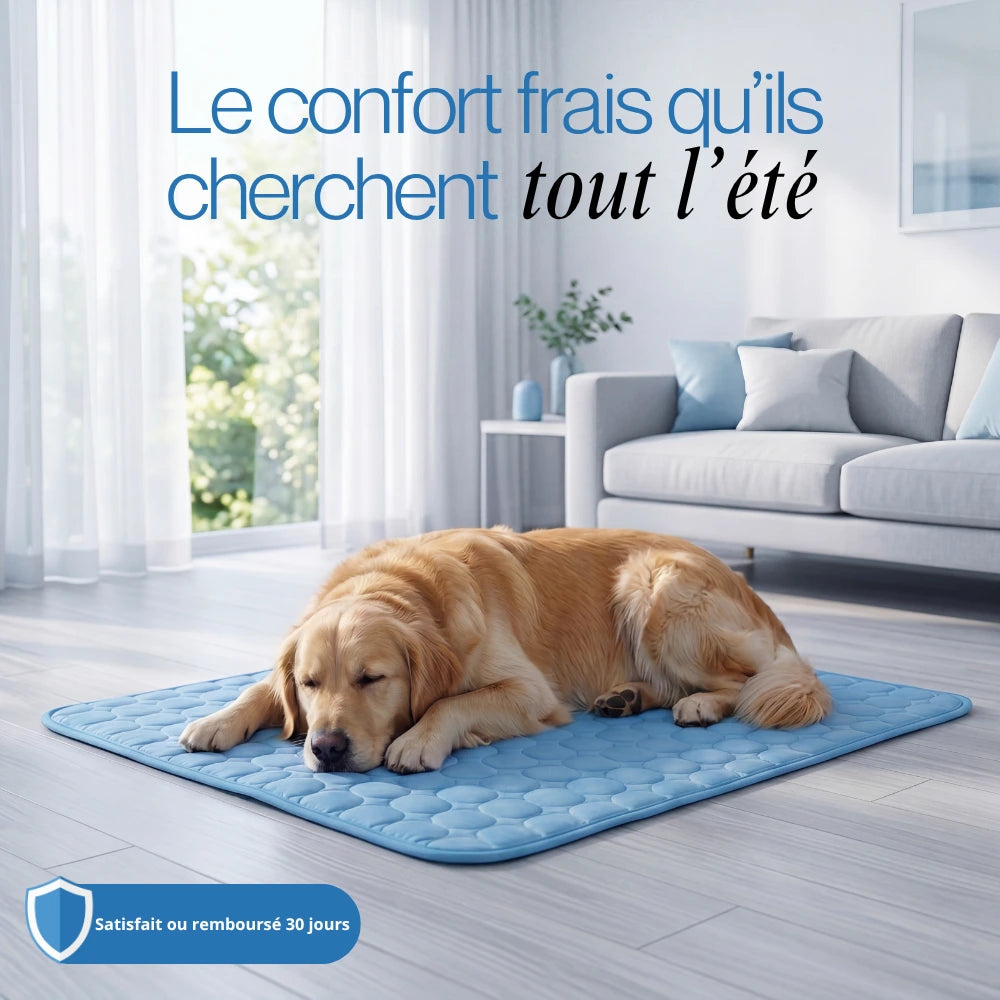 Frizon™ - Tapis rafraîchissant pour chien