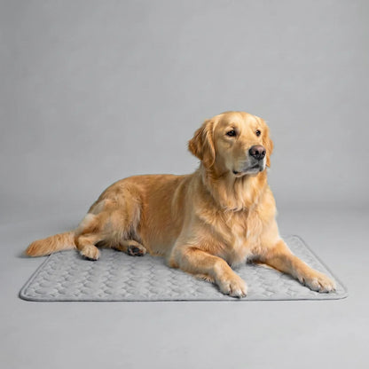 Frizon™ - Tapis rafraîchissant pour chien