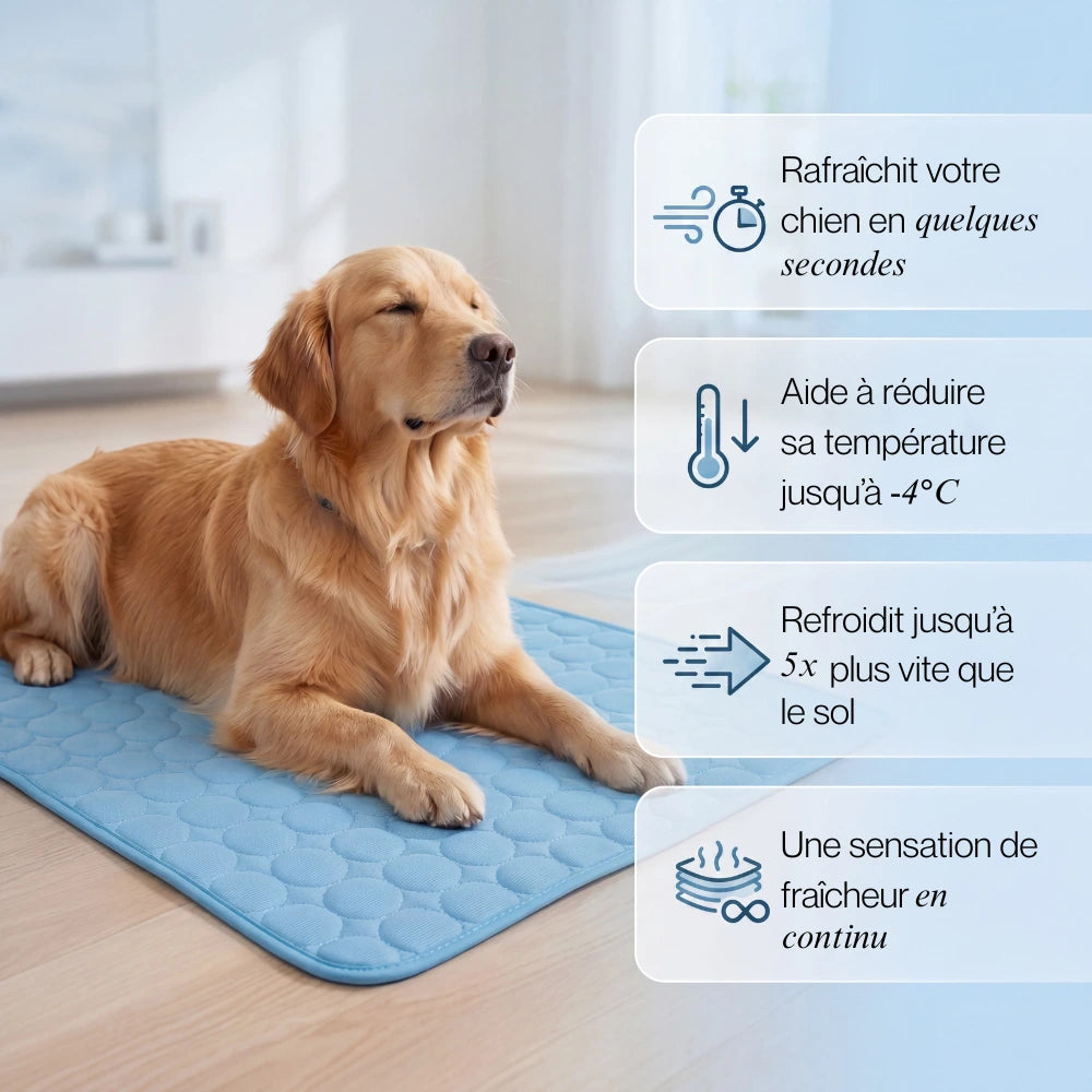 Frizon™ - Tapis rafraîchissant pour chien