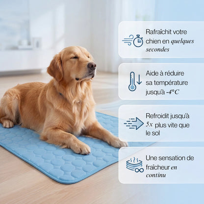 Frizon™ - Tapis rafraîchissant pour chien